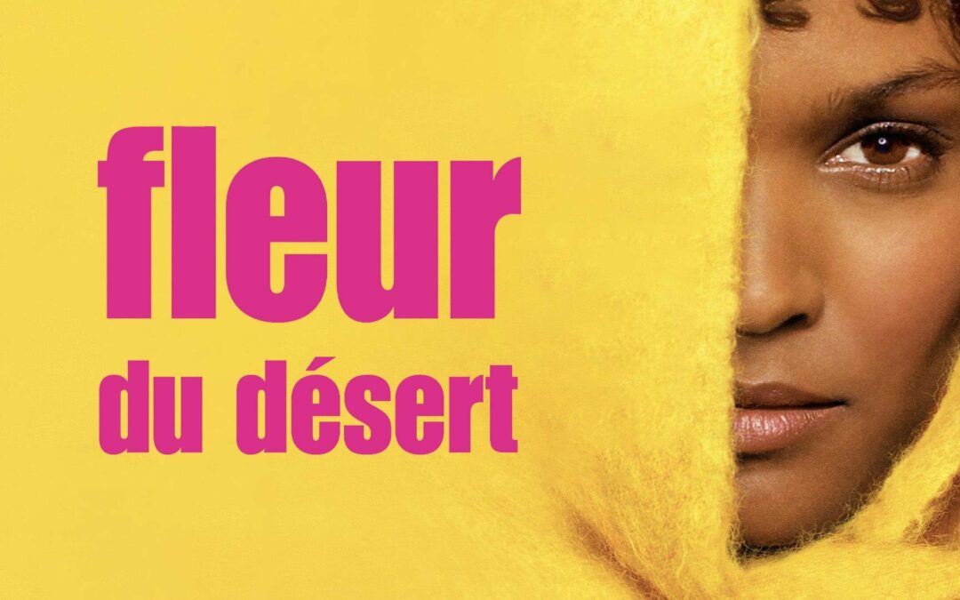 2019 – Intervention lors d’un ciné-débat en prélude du 25 novembre (journée internationale de lutte pour l’élimination des violences à l’égard des femmes) 